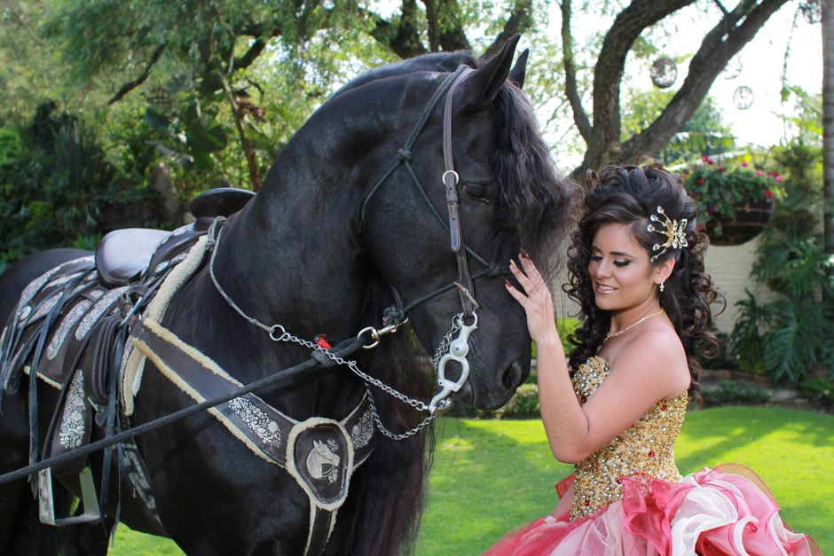 prom-till-dawn-with-premier-private-rides